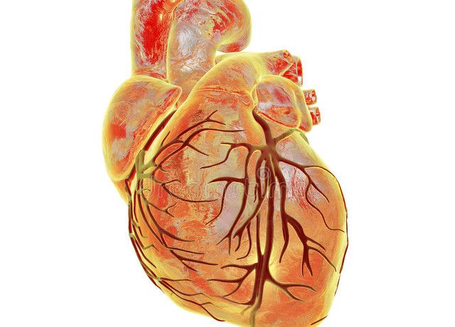 心脏的三根血管堵塞一根还能正常运转吗心血管医生告诉你