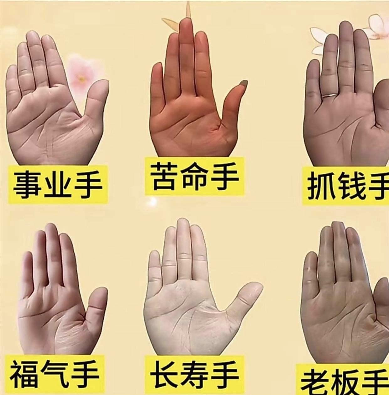 六种手相，看看你的属于哪一种？手相手相分析图手相掌相手相解析人生