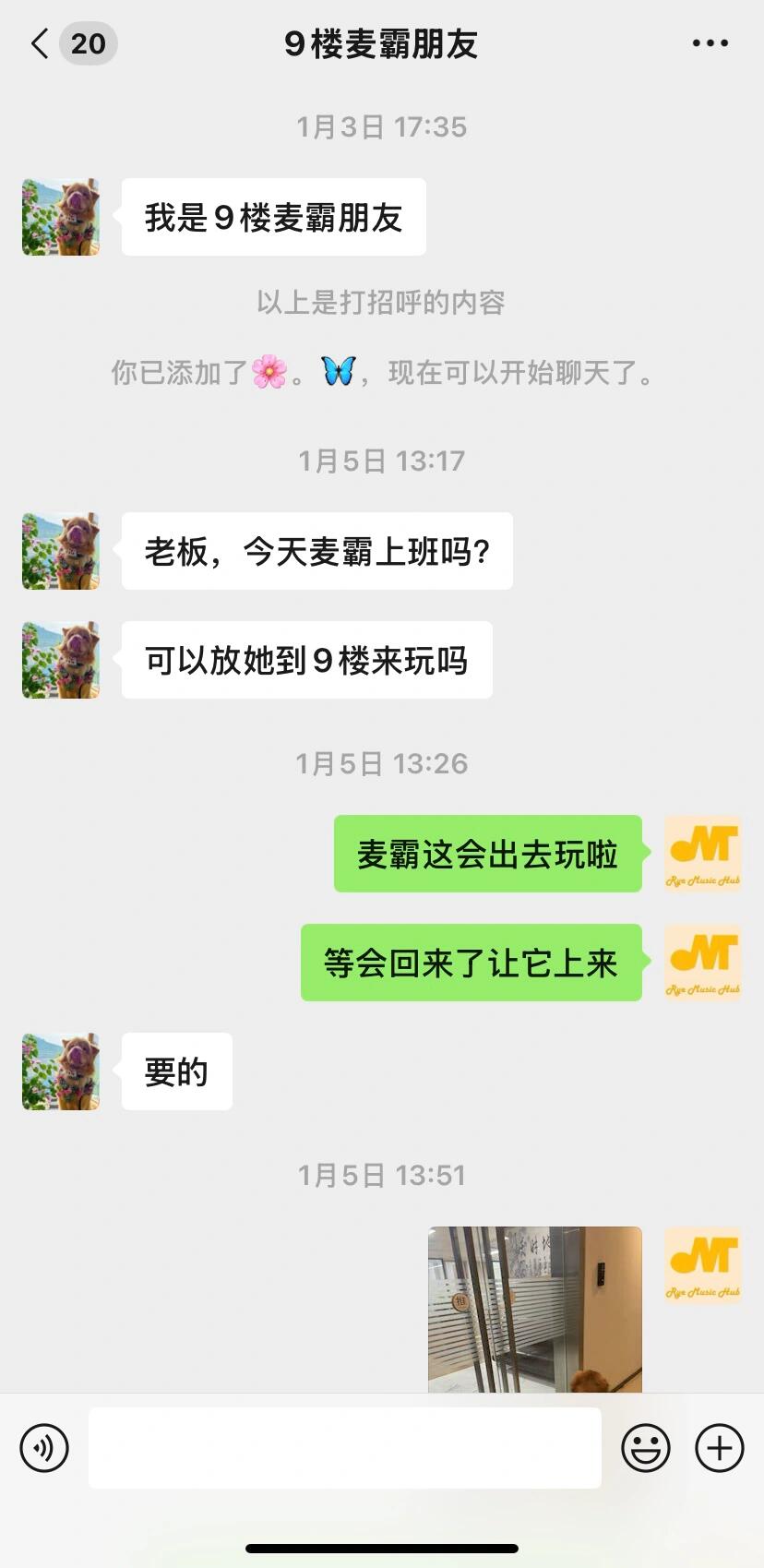 我的金毛自己出去交了一个好朋友，还加了微信，一只幸福的狗子#金毛#治愈小金毛