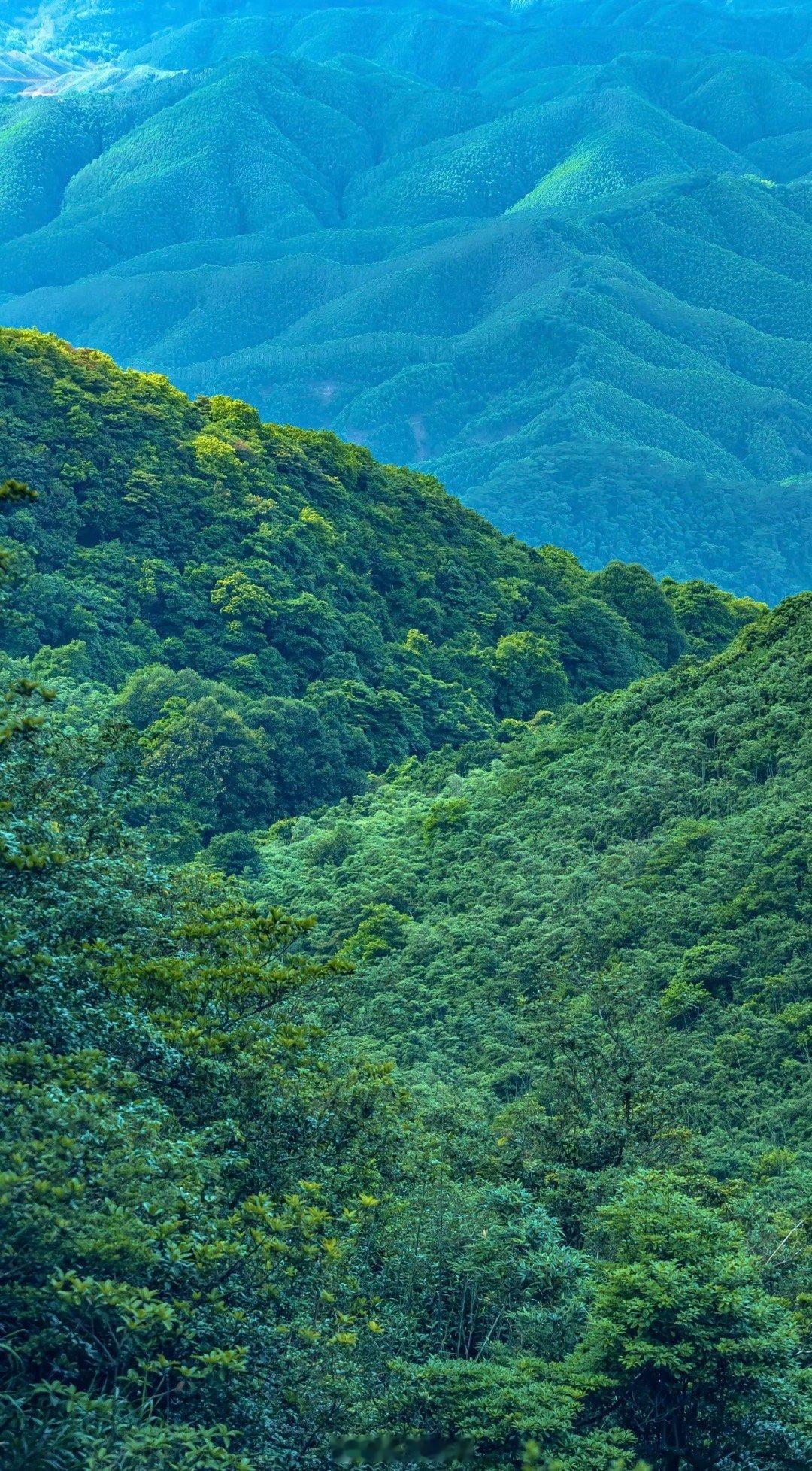 缘分有深浅，不必强求圆满看盘多年，常常跟缘主说一句话：接受有些爱，只能止于遇见。