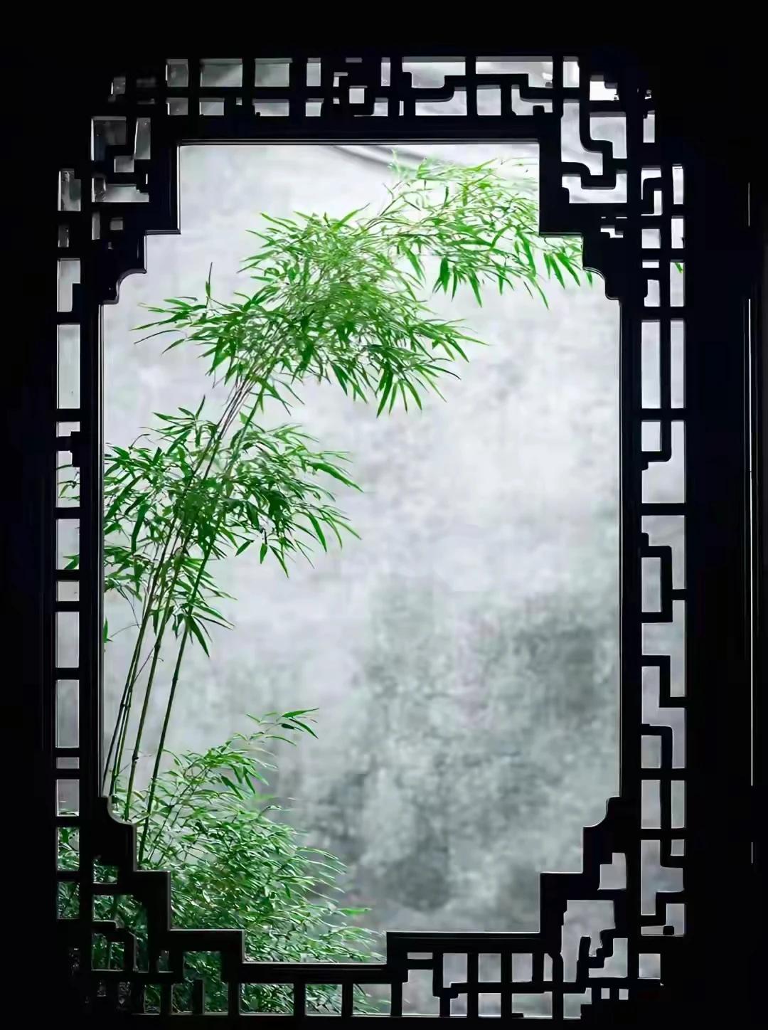 景中之美景，视觉之盛宴。