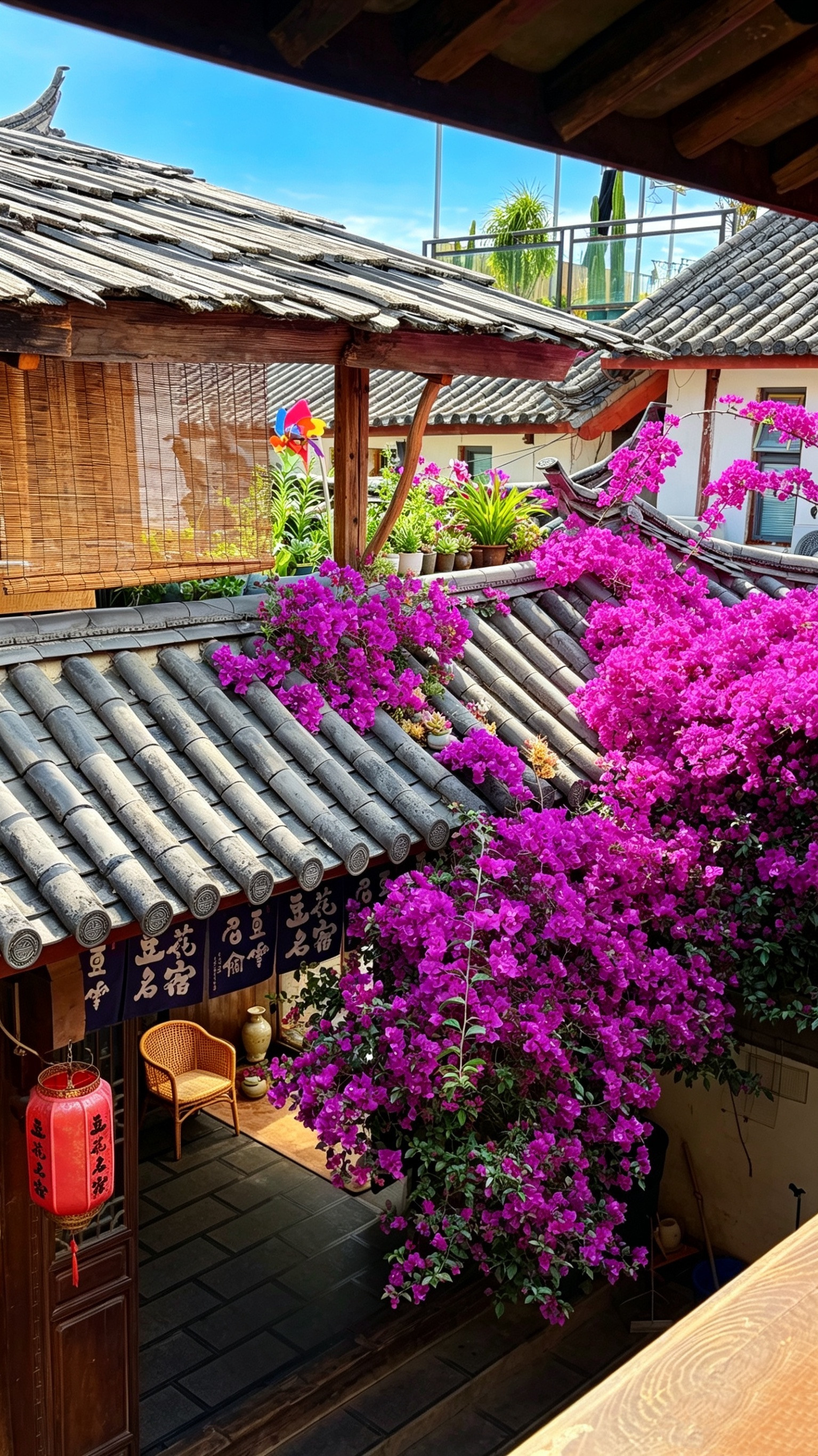 丽江古城的“豆花名宿”小院，三角梅爬满院墙。来住的人从天南海北赶来，歇下奔波的疲