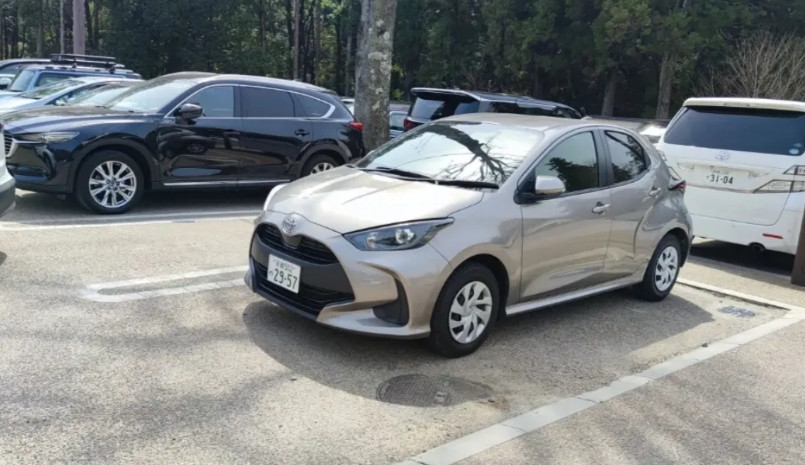 日本人确实特别喜欢开小车。我上次去日本的时候，发现日本根本就没有大车，基本上就
