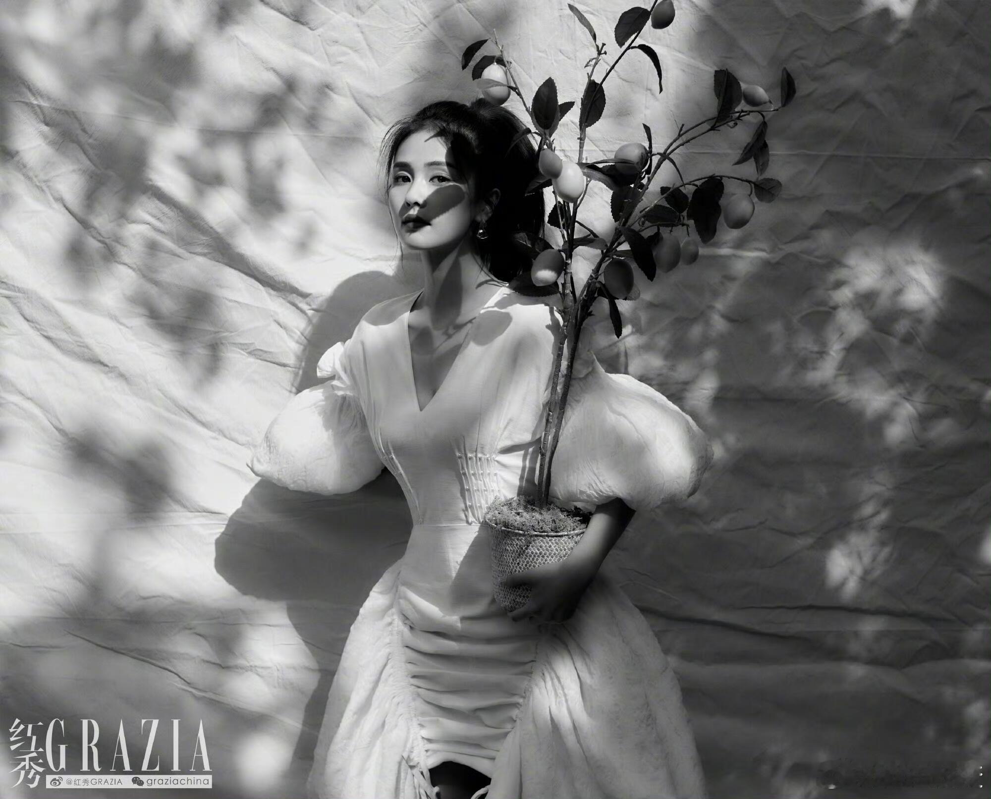 白鹿早期杂志封面图我猜你没见过白鹿｜