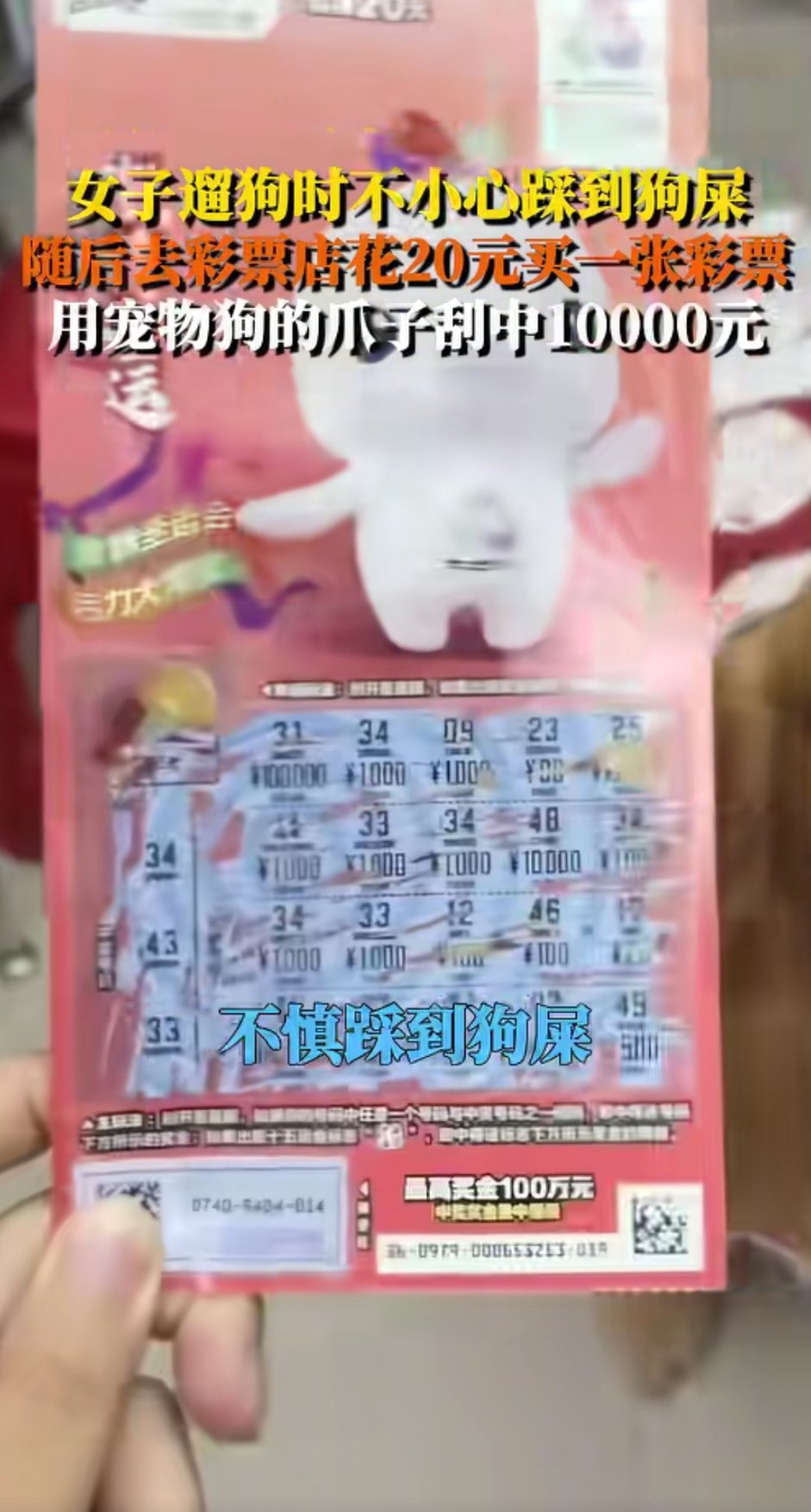 女子踩狗屎后用狗爪刮中1万元这是什么计年底了，彩票没人买了咋办？这狗屎运真不