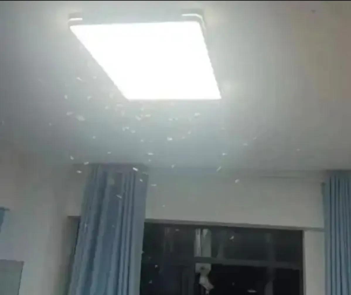 重庆进入一级战备状态！路面、空中都是虫，重庆网友：密集恐惧症都犯了。近日