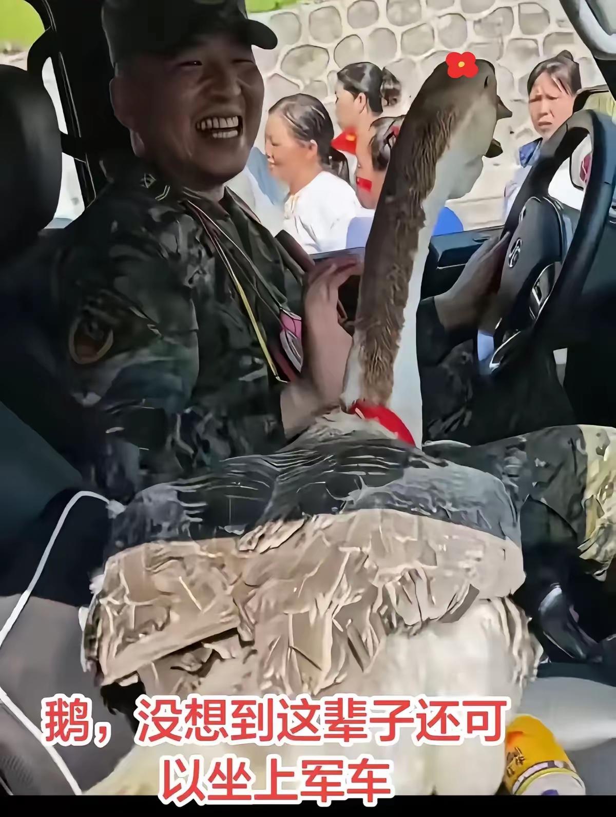 洪水渐渐褪去，救援战士即将返程，贵港一位阿婆的举动看得人瞬间破防。她抱着自家精心