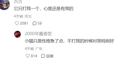 为什么小猫想打谁就打谁？