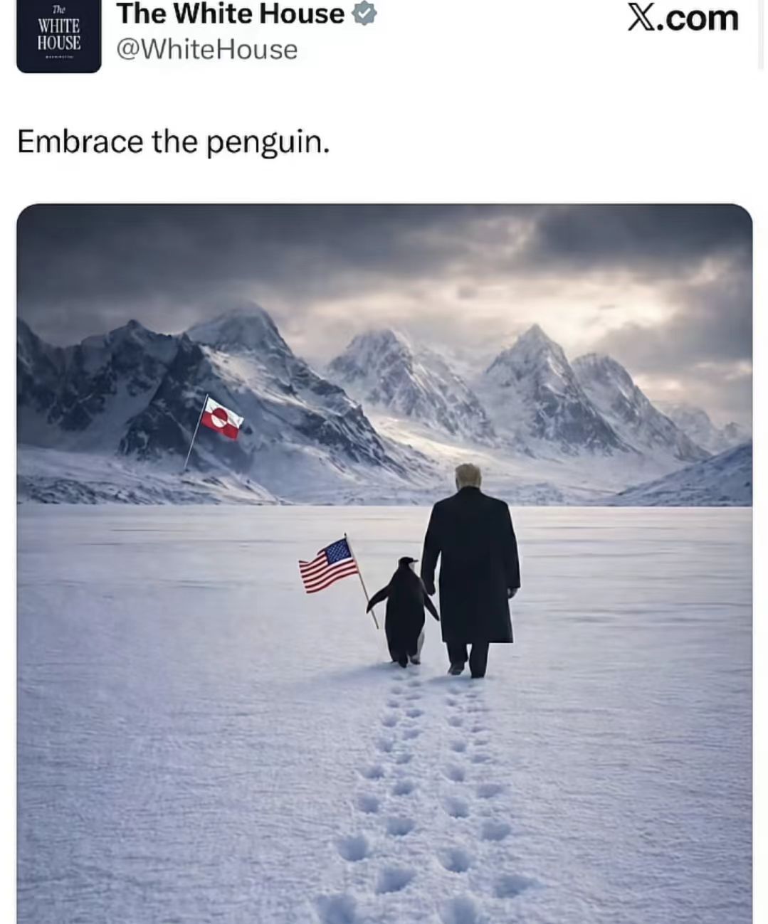 白宫发了一张图新华社回了个动画干得漂亮！这才是外宣的样子！