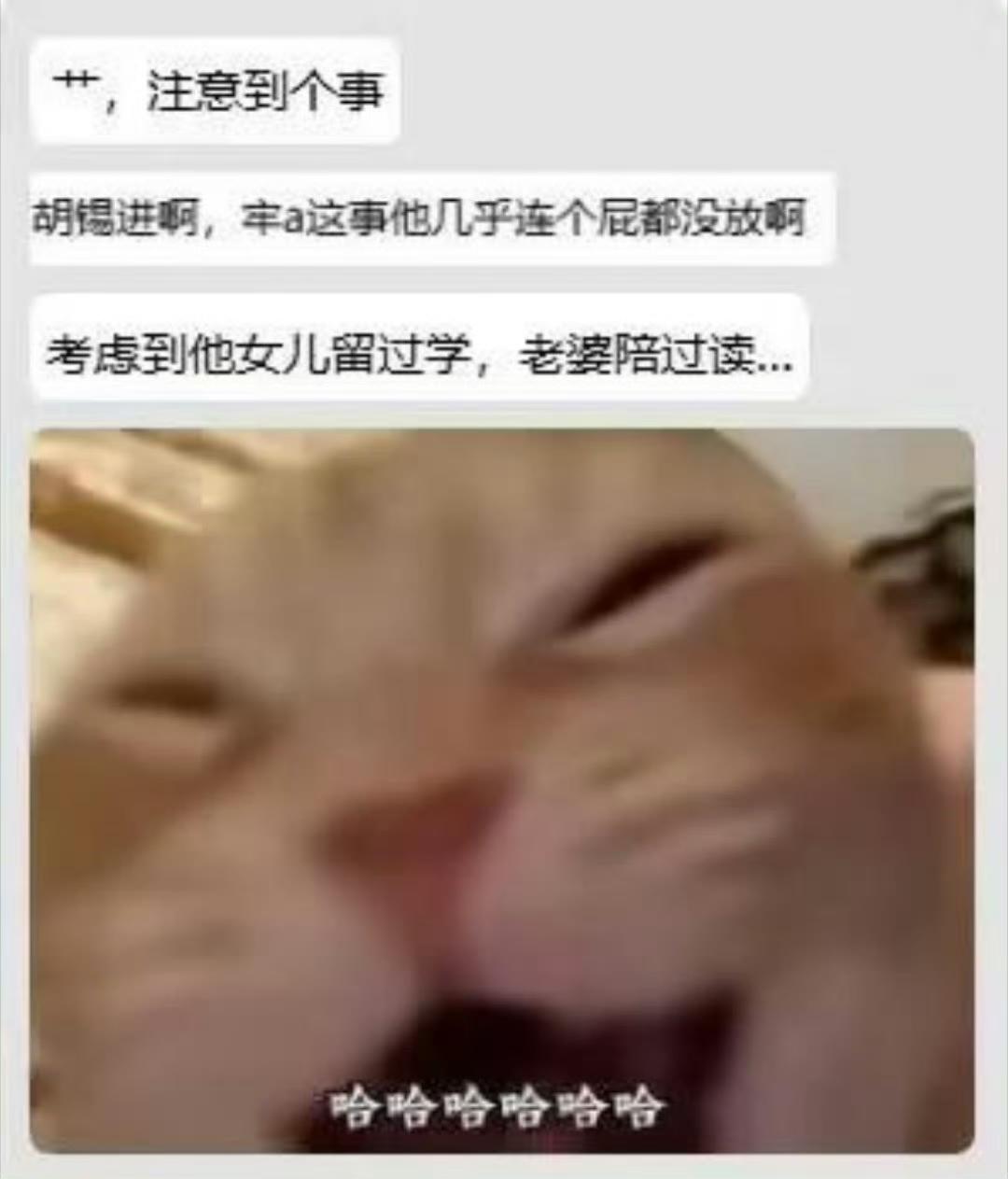 老A太牛x了，历史书上应该记一功！网友们真是太调皮了，这真是哪“胡”不开提哪“