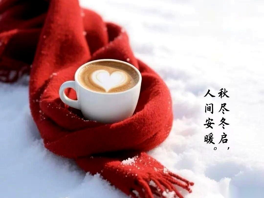 你收到的那句早安，大概率是群发的。一张闪闪发光的荷花图，配上一句从别处复制粘贴