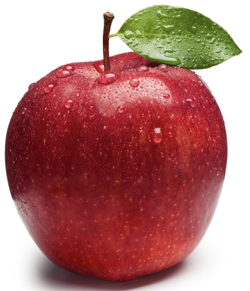 心智效应产生这样一种微妙的幻觉，认为眼前看似发生的一切是局限的，同时认为在感觉感