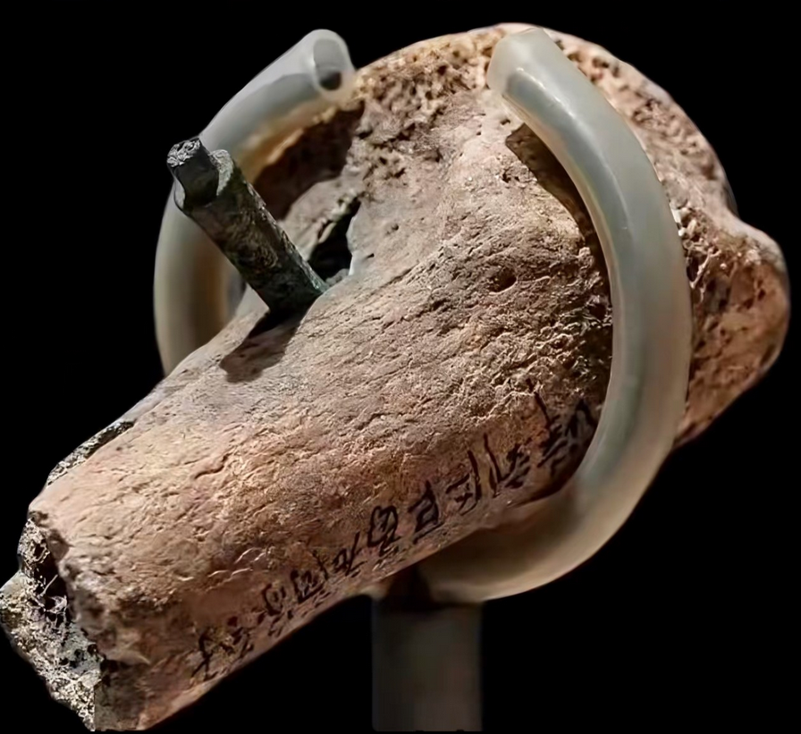 2400年前的土兵战争时腿部中箭，至今仍插在骨头里！深度达6公分，战国时期，天津