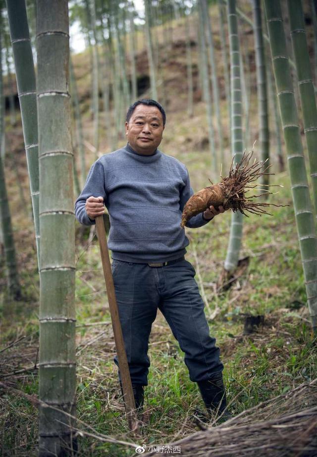 把自己养肥, 再陪老爸减肥, 然后老爸出手全家都圆满了!