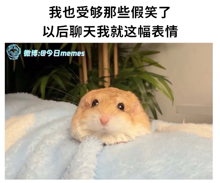 嗯哼（9gag）今日meme今日memes