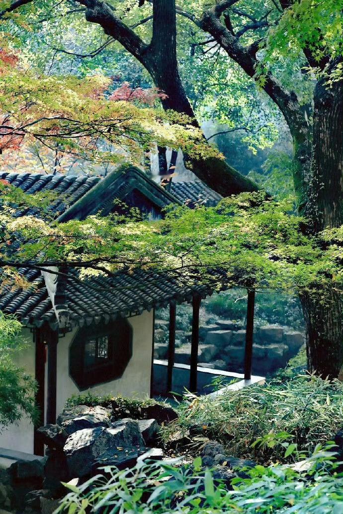 苏州，最适合一个人独自看风景、感受江南的烟雨风情。​​​​