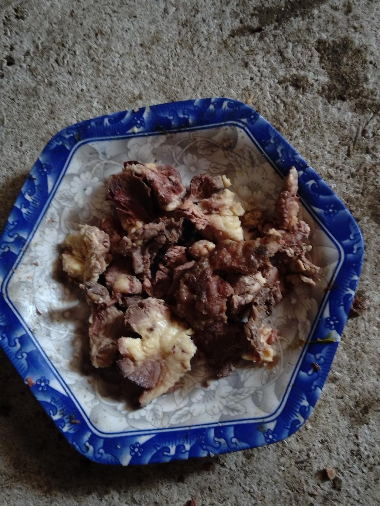 煮了大半天的牛肉，到最后硬邦邦的，这牛肉算是被我糟蹋了。我家猫闻了闻，扭头就走，