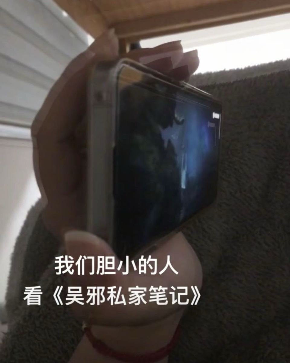 胆小的人就这么看私家笔记家人们谁懂！明明胆子小到要捂眼睛，却根本停不下来追《吴