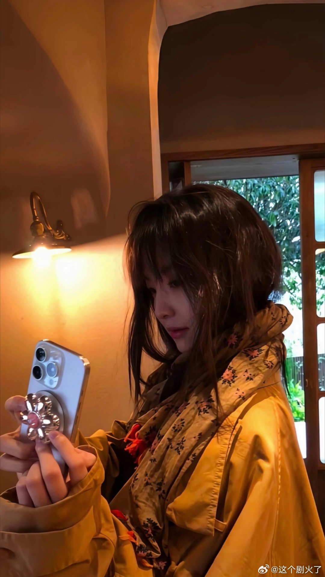 章若楠|壁纸​​​