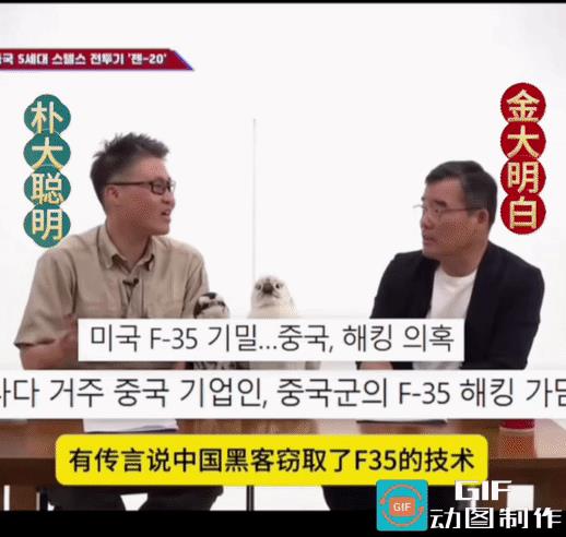 韩国这两位专家很专业他们在一场电视节目上对中国的j20展开了讨论。他们有一个
