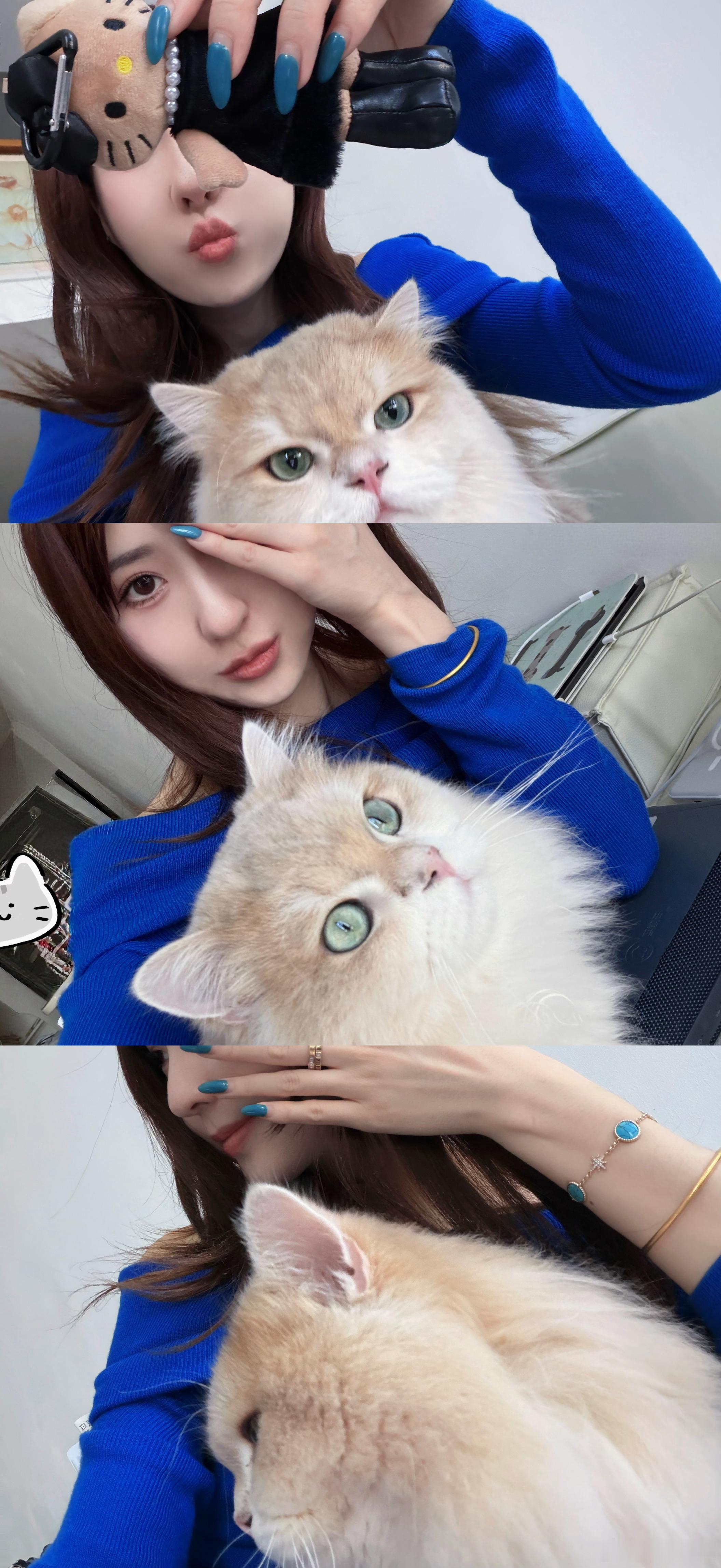 泥豪哈基米🐱被迫营业谁懂啊我鹅子太可爱啦小猫真的可以治愈生活💌小猫咪可爱