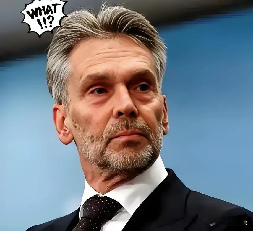 我有预感，安世半导体这次真的要变天了！不是因为荷兰政府冻结了它的全球资产，也