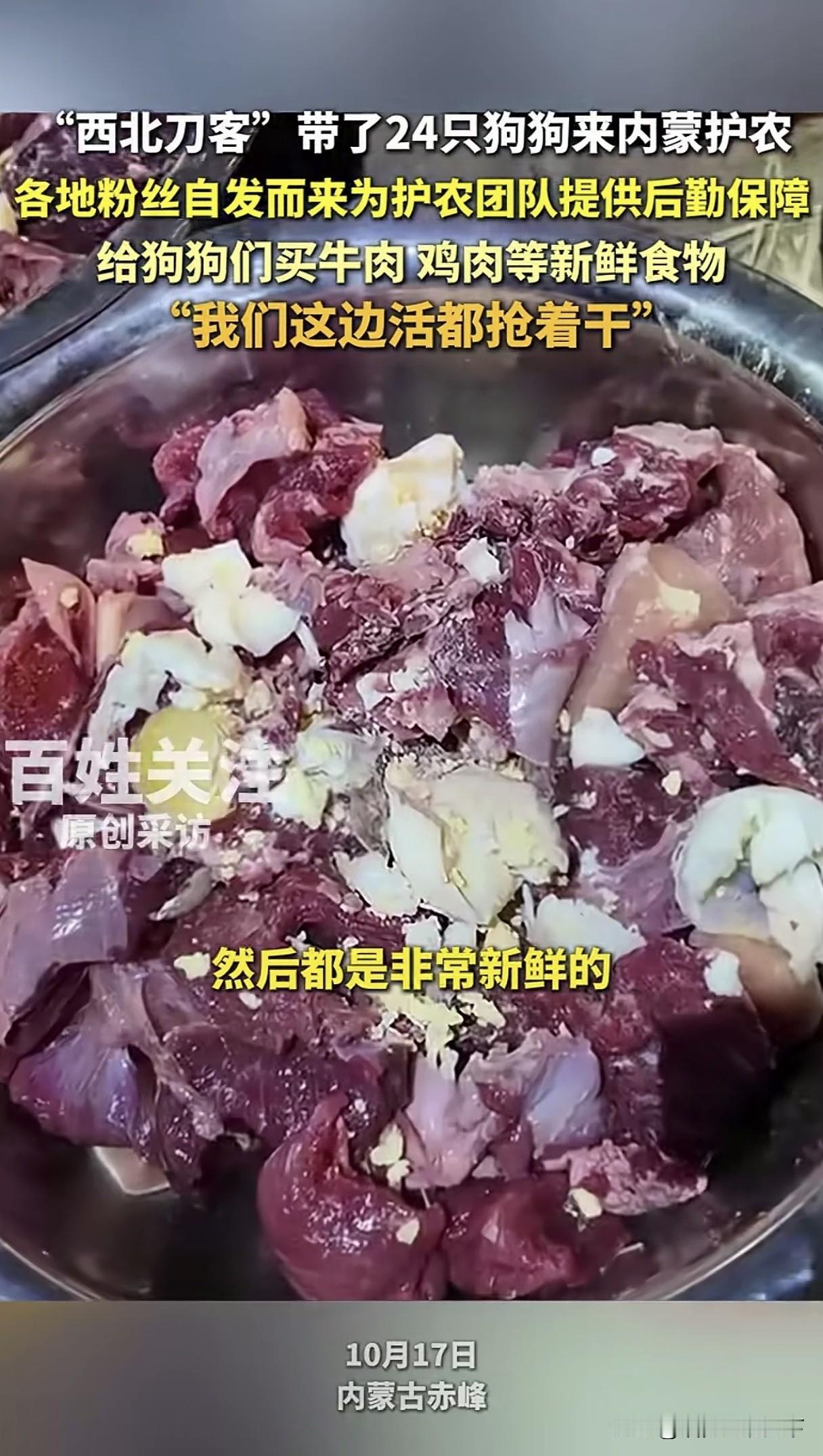 因为狗吃得比人好，所以受到了广大网友的热议？近日，博主“西北刀客”带了24只