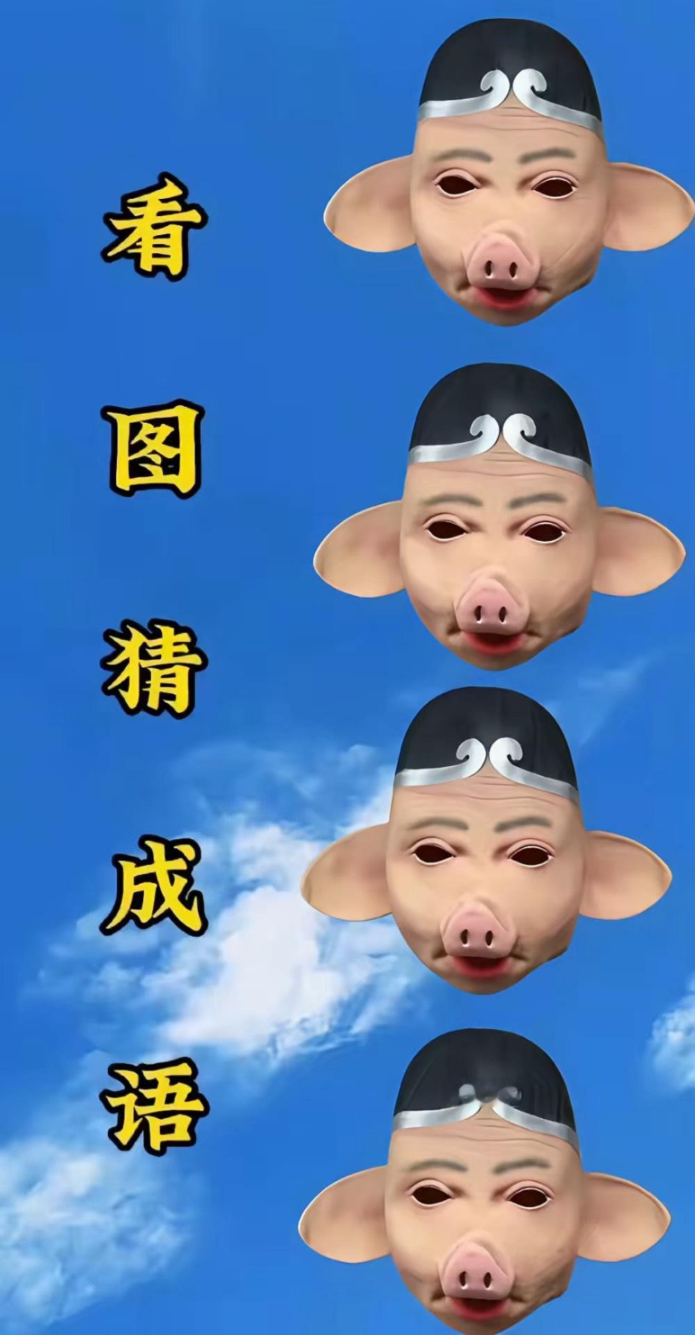 这个成语，你听过吗？