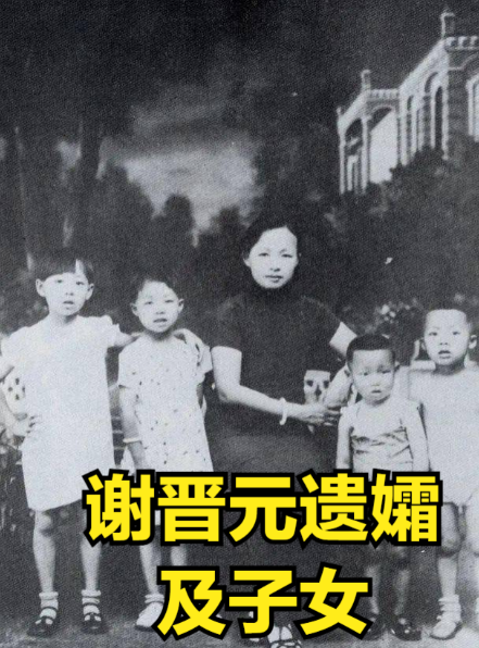 1949年5月，上海解放，百废待兴，陈毅市长忙得不可开交，一日，他收到一封信，看