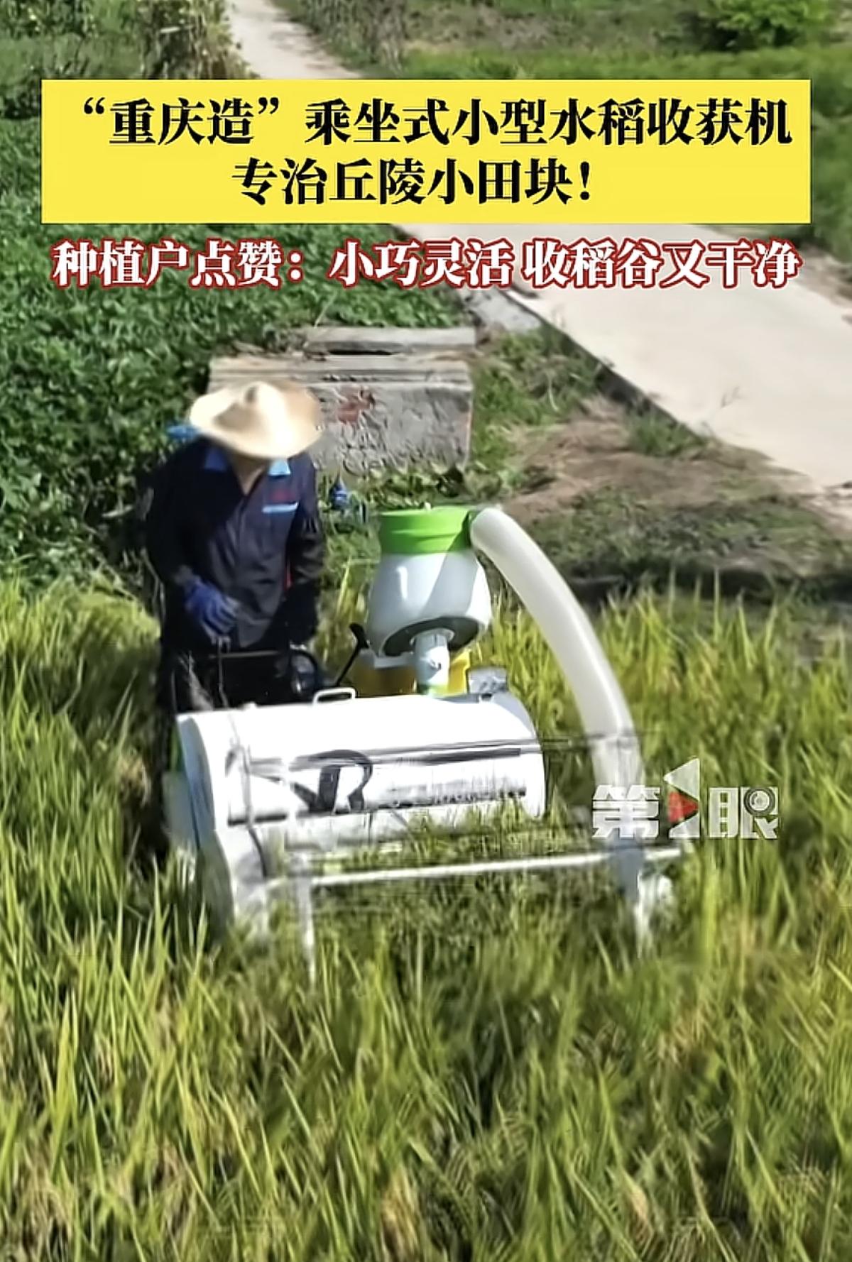 重庆造小型水稻收获机：破解丘陵小田块机械化难题8月16日，由重庆市农科院指