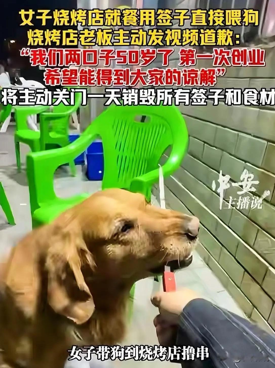 老板大格局！5月1日，内蒙古。女子烧烤店就餐用签子直接喂狗，烧烤店老板主动发视频