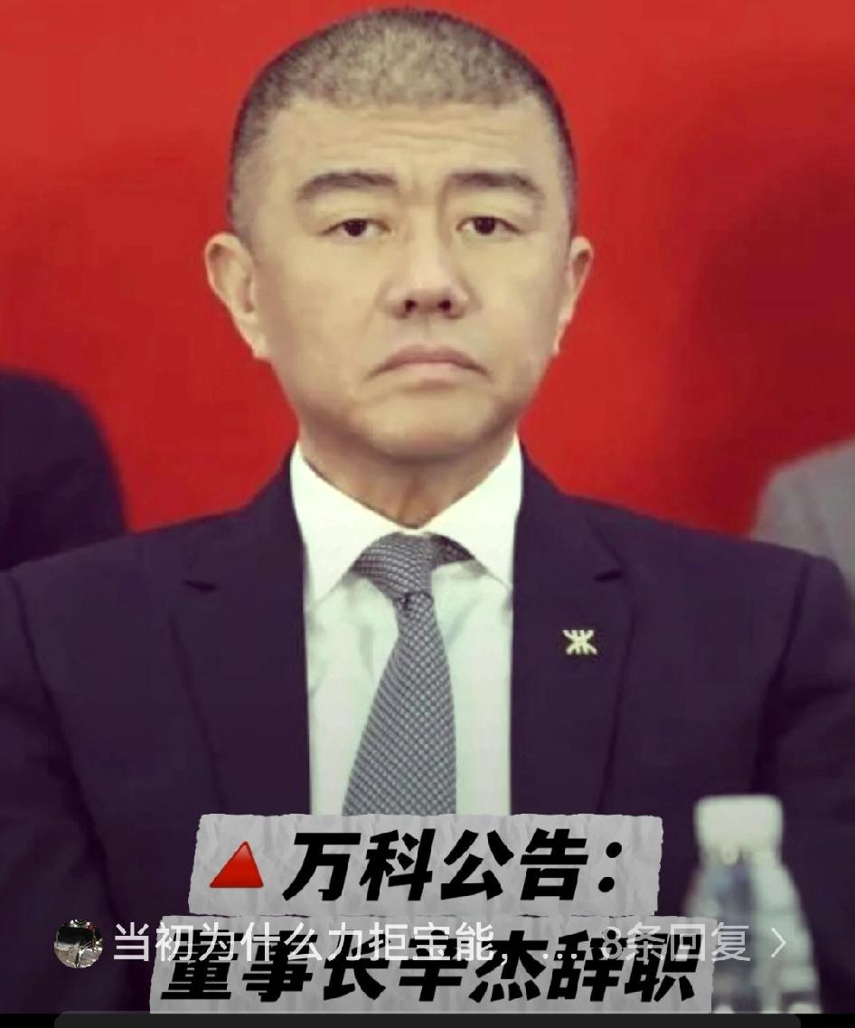 万科负债8700亿我能理解万科董事长辛杰失联我也能理解。但他失联24天一出来