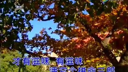 幸福曲谱毛阿敏_毛阿敏相思c调曲谱(3)