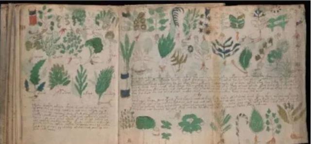 1912年，意大利商人伏尼契收购一家旧书店时，发现一本“奇怪的手稿”，一共260