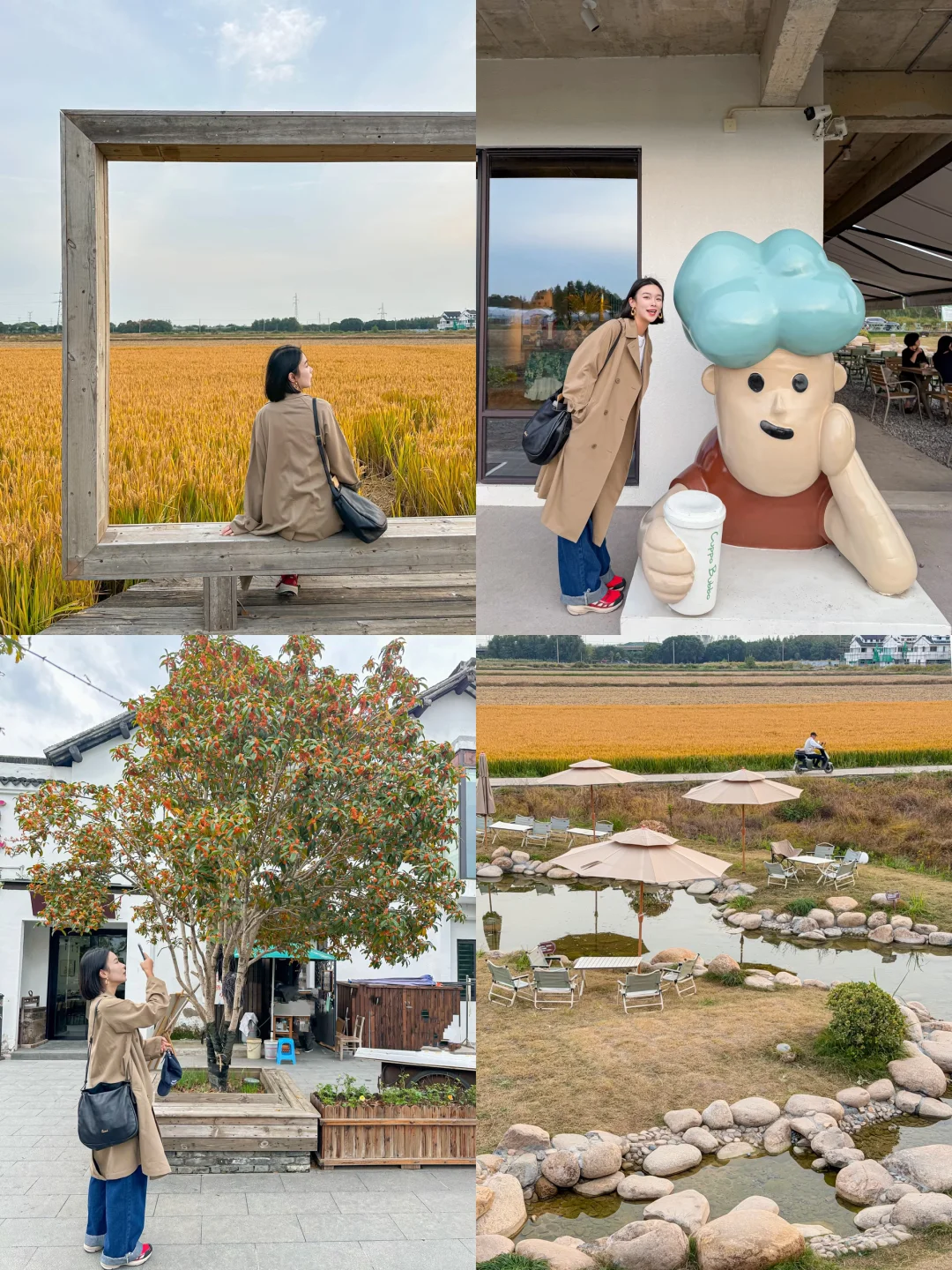 上海🚗1h金黄稻田古镇🌾金灿灿的秋天🍂