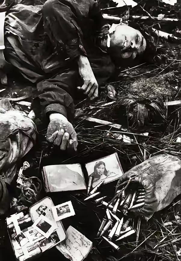 1968年，越南。两个美军士兵在打扫战场时，发现一名阵亡的北越士兵。突然，一个美