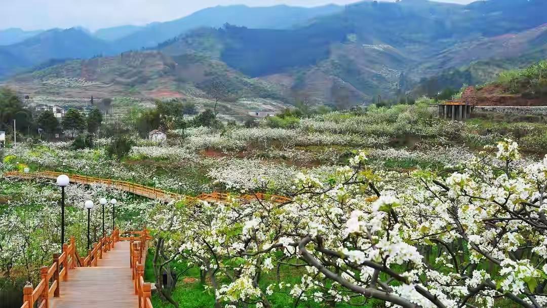 退休儿媳搬走，婆婆急了，家里的平衡崩了。沈娟走了，没吵架也没留字条，收拾几件