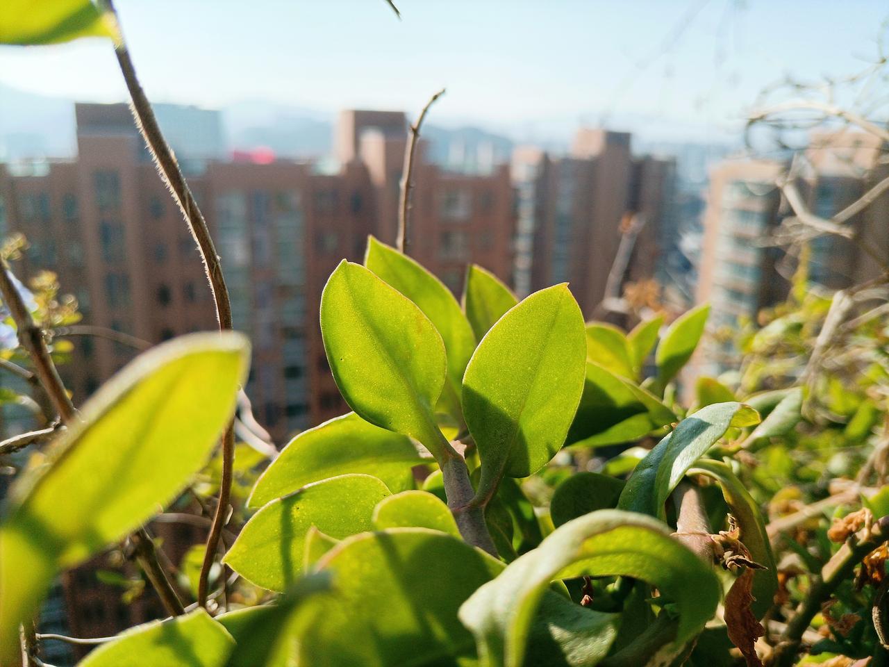 我突然的明白了，一个人在走好运之前，必然有一次大的打击，让我伤透了心，然后无人可