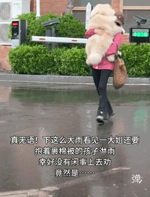 我滴個媽呀！這狗也太大了吧！[赞][捂脸哭]