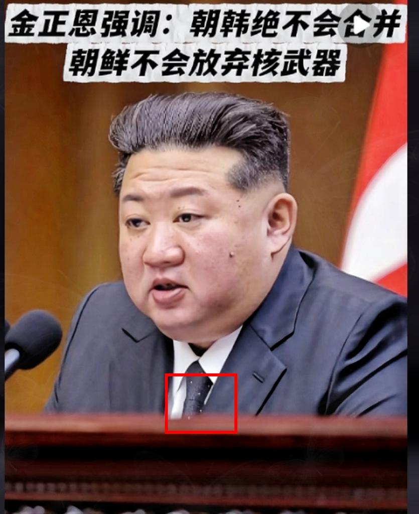 韩国披露一则重大消息，事关金正恩身体健康状况。韩国国家情报院（国情院）在国会