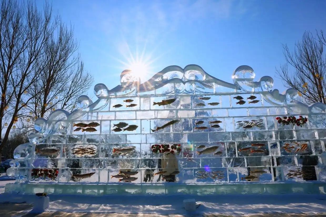 黑龙江3米冰封鱼墙爆火：零下30℃的浪漫，藏着最懂人心的文旅密码谁能想到，零