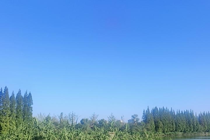 最好的异性知己就是两个人，不为难彼此，有什么说什么，守住分寸，不越过底线。不
