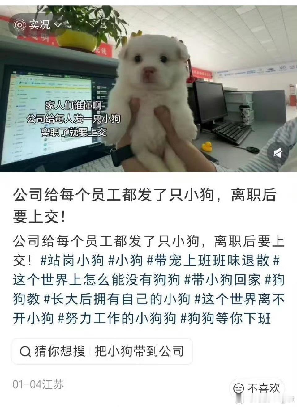 不知道以为宠物店上班呢离职要上交公司小狗