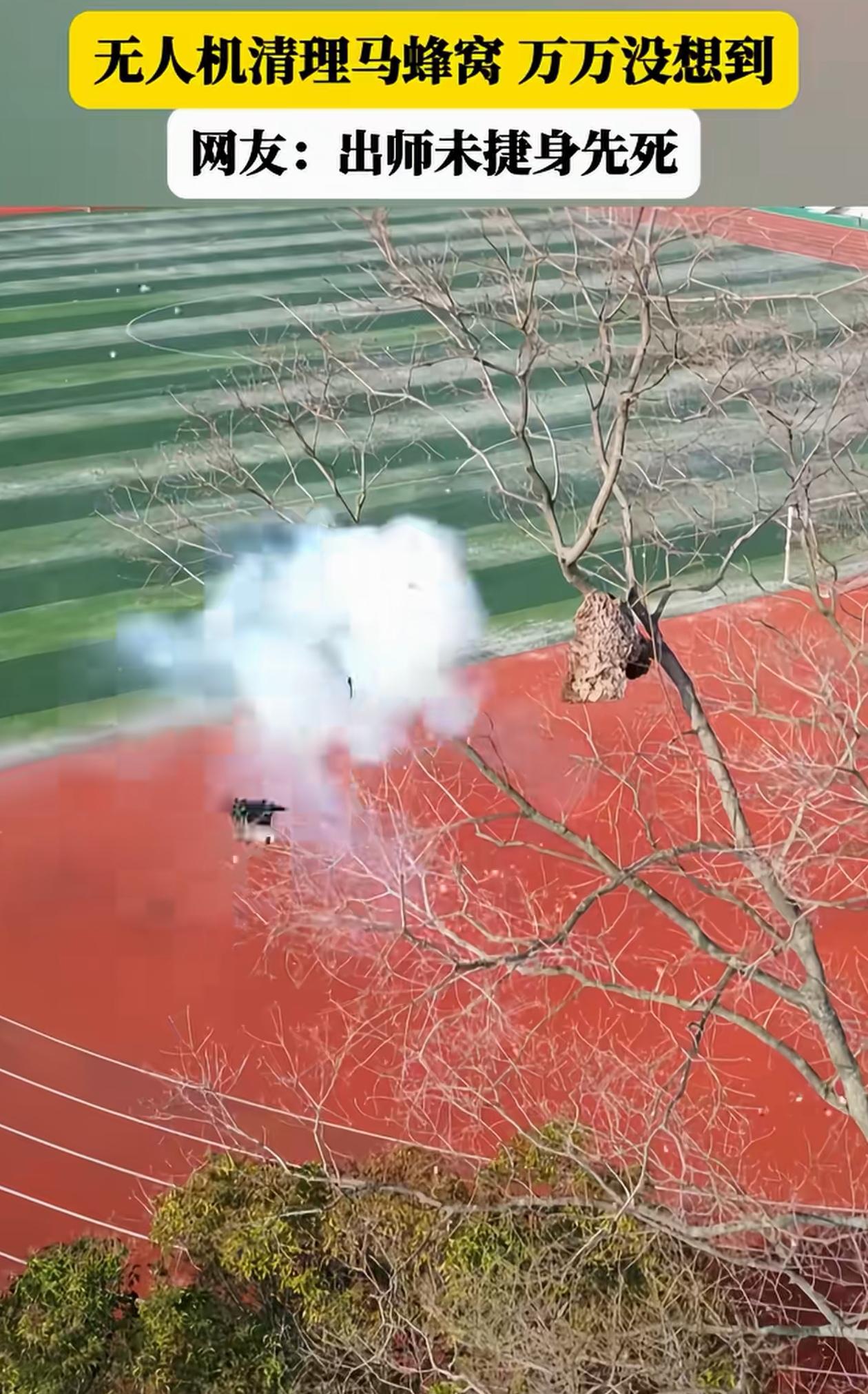 万万没想到！学校操场旁的大树上结了个马蜂窝，有人派出无人机，准备清理，没想到无人