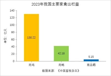 中国最被低估的家禽！高硒高蛋白，可惜一直被忽略一说进补吃禽肉，大家脑子里蹦出