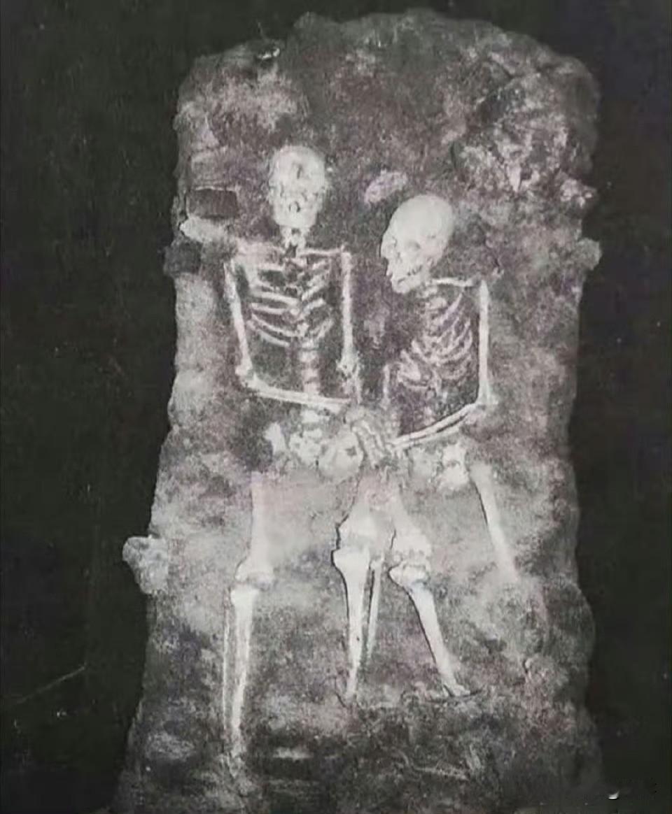 1997年深冬，长春的天寒得能冻裂石头。一群考古队员和历史学者正小心翼翼地清理着