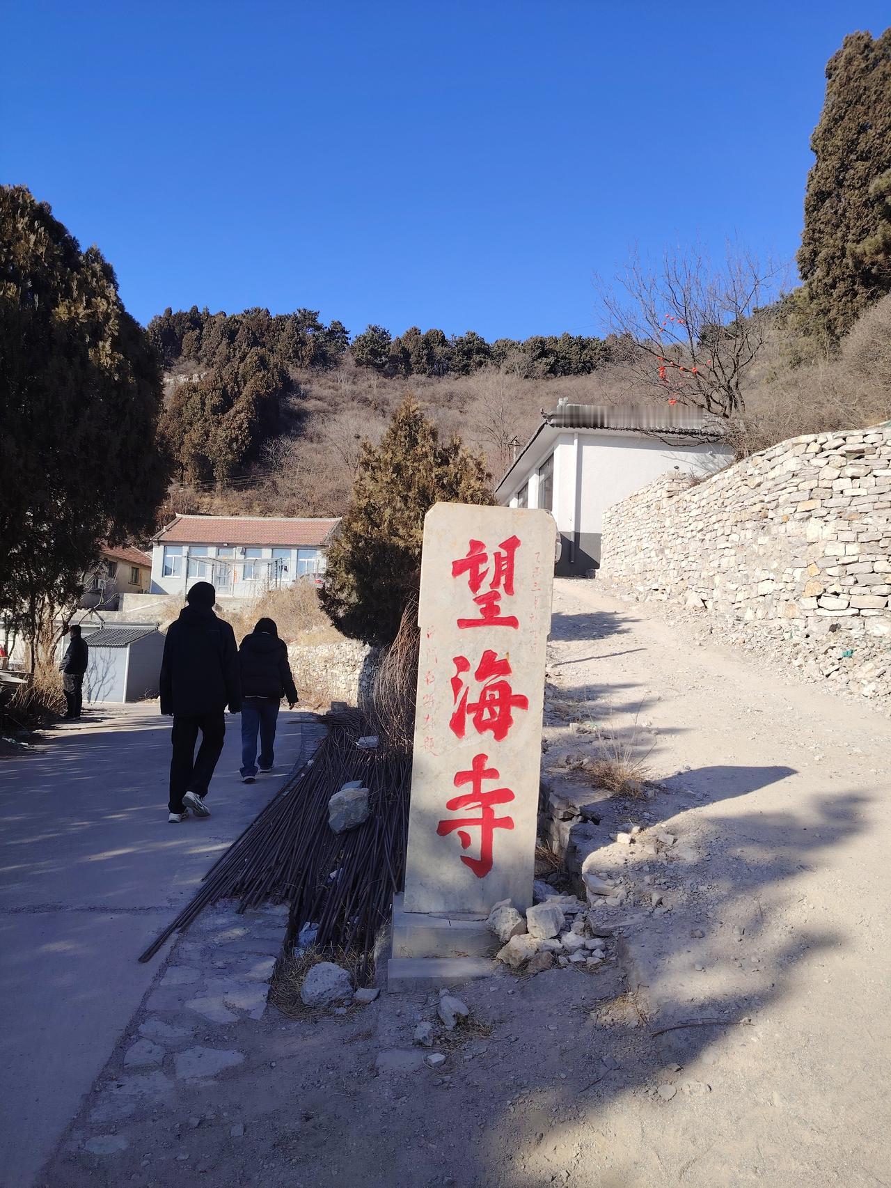 致真是美极了！葱葱郁绿的松柏，蓝蓝的天空，还有山脚下的小村庄显得特别的渺小，层次