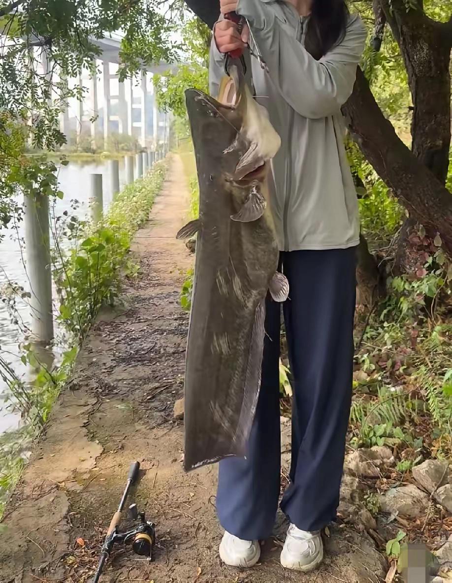 这鱼钓的还行不