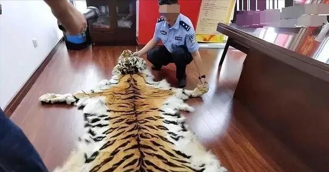 北京，一男子有张虎皮，从曾祖父那代传下来的，被一个老板看上，并以30万价格买下。