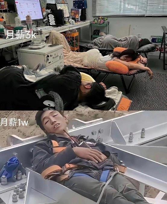 你会怎么选?